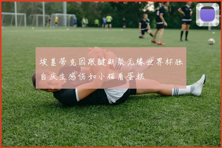埃基蒂克因跟腱断裂无缘世界杯独自庆生感伤如小猫看蛋糕