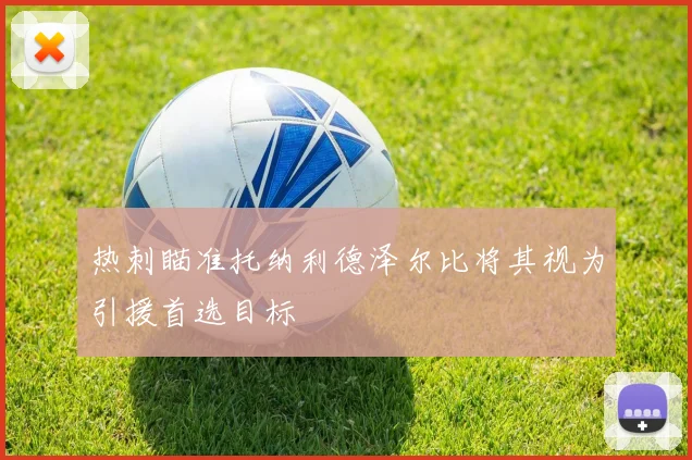 热刺瞄准托纳利德泽尔比将其视为引援首选目标